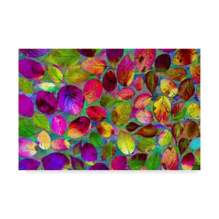 Ata Alishahi 'Color Explosion 17' Canvas Art,16x24